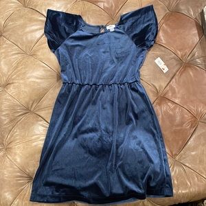 NWT velvet elastic waist blue dress.  Size XL/14